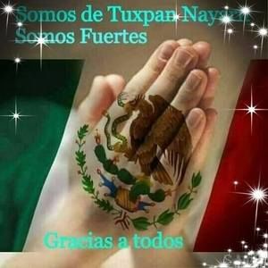 Meet your Posher, Cora